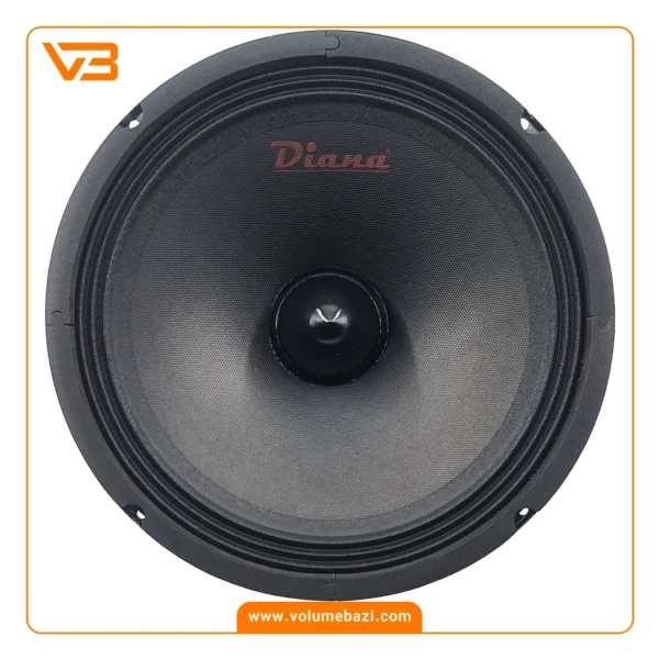 میدرنج 10 اینچ خودرو دیانا مدل MD-250.3 B