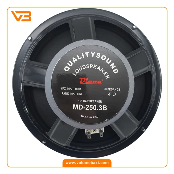 میدرنج 10 اینچ خودرو دیانا مدل MD-250.3 B_1