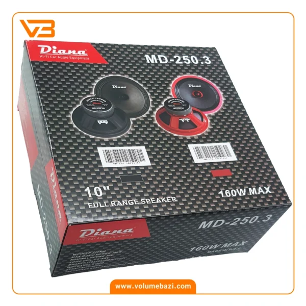 میدرنج 10 اینچ خودرو دیانا مدل MD-250.3 B_3