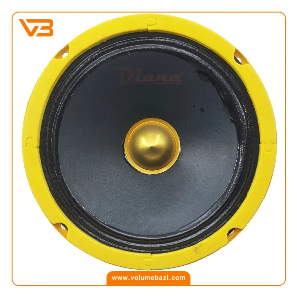 میدرنج 6.5 اینچ خودرو دیانا مدل MD-165.3 Y