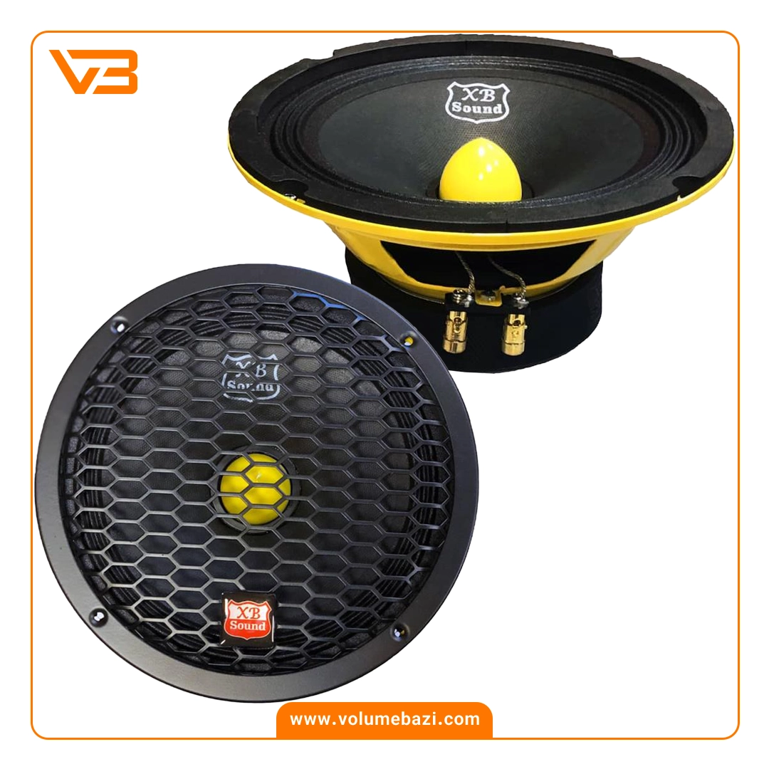 میدرنج 8 اینچ ایکس بی ساند مدل XB-8000SPL (بولت فلزی) 1 میدرنج 8 اینچ ایکس بی ساند مدل XB-8000SPL (بولت فلزی)