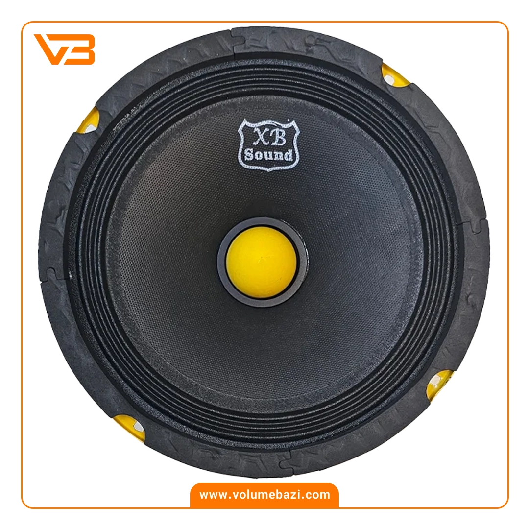 میدرنج 8 اینچ ایکس بی ساند مدل XB-8000SPL (بولت فلزی) 3 میدرنج 8 اینچ ایکس بی ساند مدل XB-8000SPL (بولت فلزی)_2