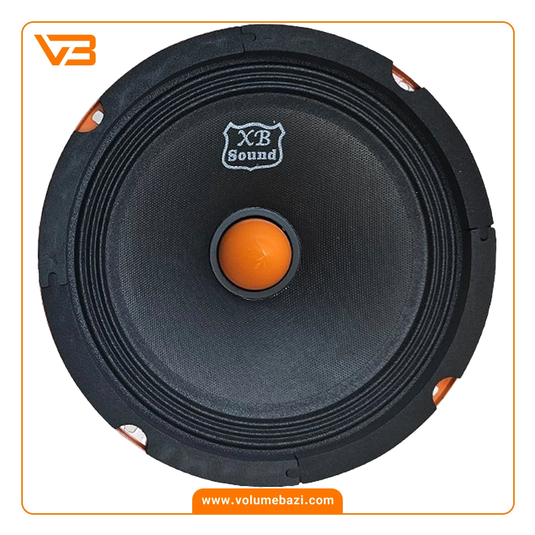 میدرنج 8 اینچ ایکس بی ساند مدل XB-8002SPL (بولت فلزی) 2 میدرنج 8 اینچ ایکس بی ساند مدل XB-8002SPL (بولت فلزی)_1