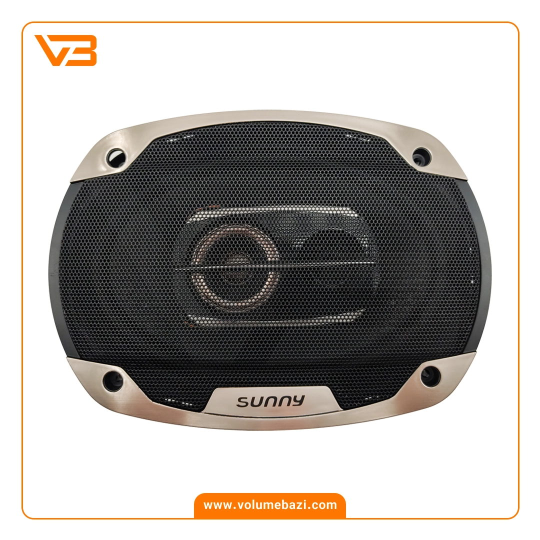 اسپیکر خودرو سانی مدل SU-6989 2 اسپیکر خودرو سانی مدل SU-6989_1