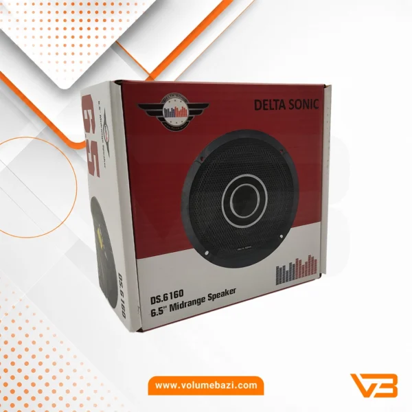 فول رنج دلتاسونیک مدل DS.6160 سایز 6.5 اینچ – دو عددی