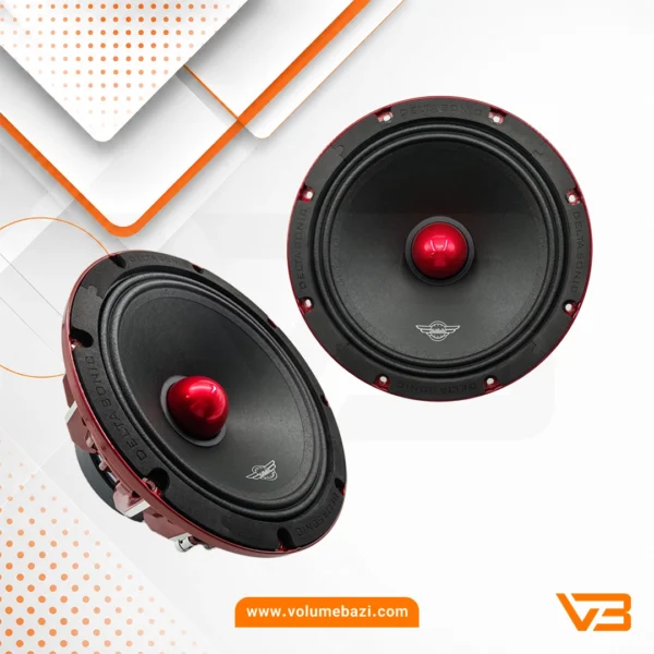 میدرنج دلتاسونیک مدل DS.10500PRO سایز 10 اینچ – دو عددی